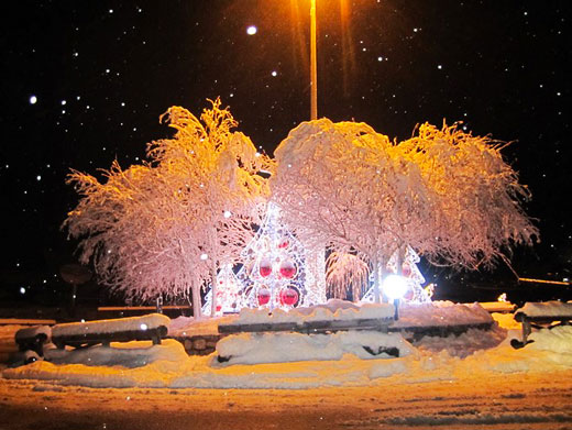 Meribel Photos - Illuminated Tree