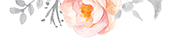 flowers_top flowers