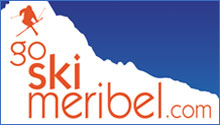 Go Ski Logo