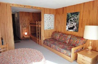 Mottaret Apartments Ruitor 2 bedrooms lounge