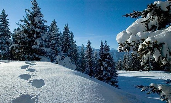 chalet-loden-outside-view