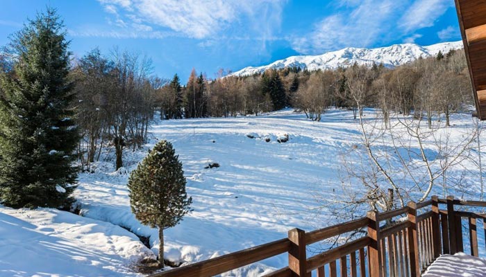 chalet-praz-champion-view